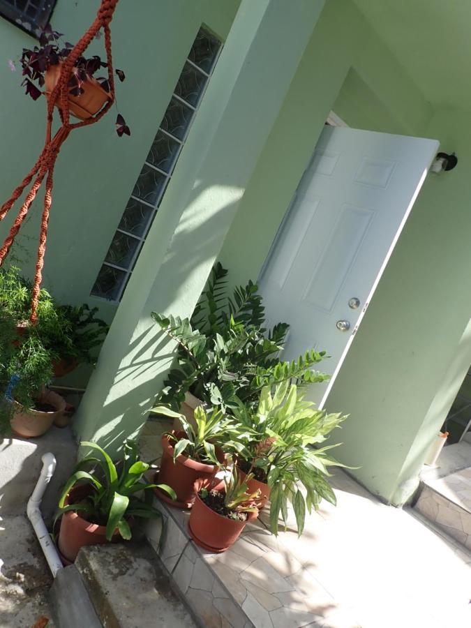 Urban Oasis Apartment Кастри Екстериор снимка